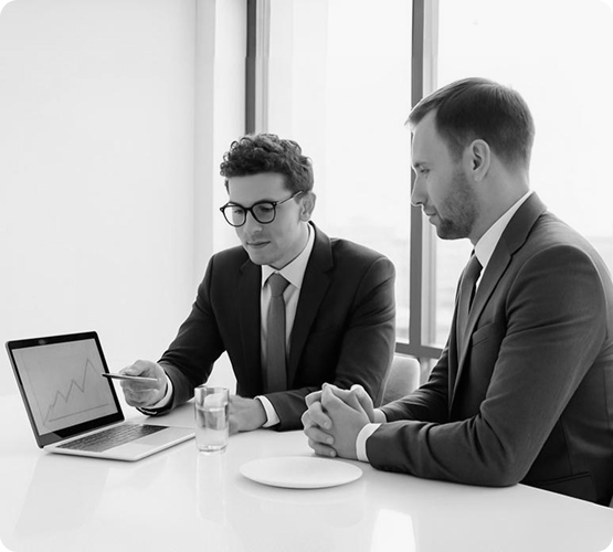 Consulting Services